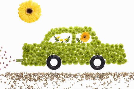 Twoje auto dźwięczy i wdzięczy