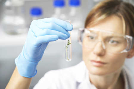 14100054_laboratorium_probowka_ojoimages