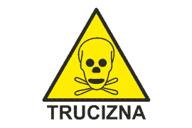 Witamina B6 toksyczna dla układu nerwowego