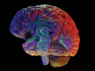EEG biofeedback - nowa metoda terapeutyczna w psychiatrii