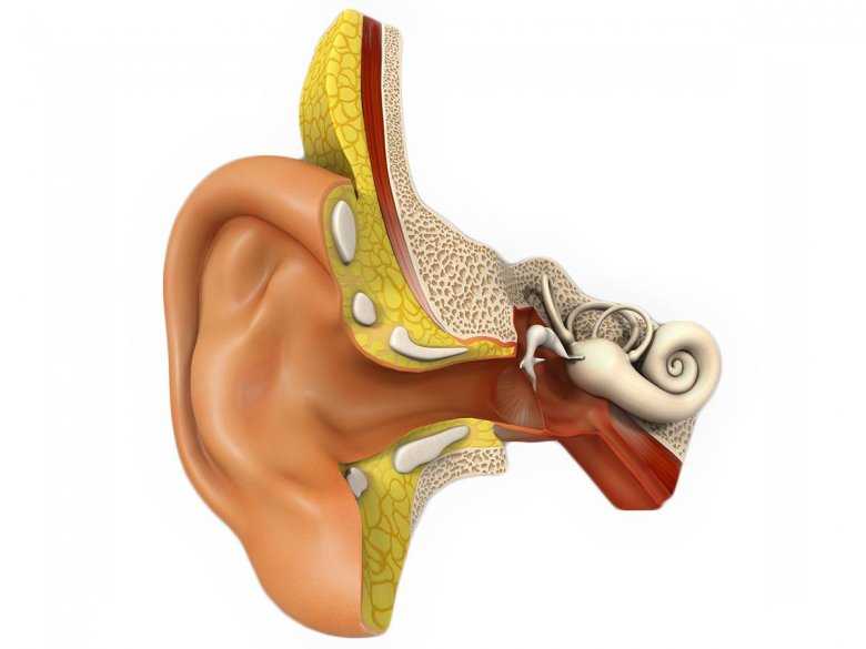 Krwawienie Z Ucha Przyczyny Objawy Diagnoza Leczenie