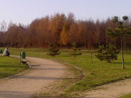 Zdjęcie