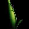 Book Of Love-Peter Gabriel