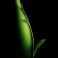 Book Of Love-Peter Gabriel