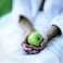 ajiv\'s apple