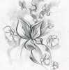 Szkic