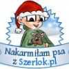 głodne pieski