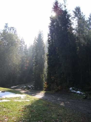 Brenna jesienią 2