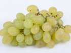 Olej z pestek winogron - dla zdrowia i urody