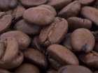 Ziarno kakaowca - indiański symbol życia i płodności
