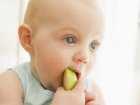 Żywność w słoiczkach dla niemowląt uboga w mikroelementy