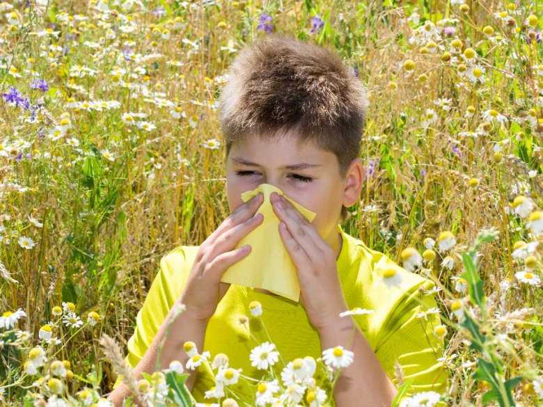 Alergia na pyłki kwiatowe