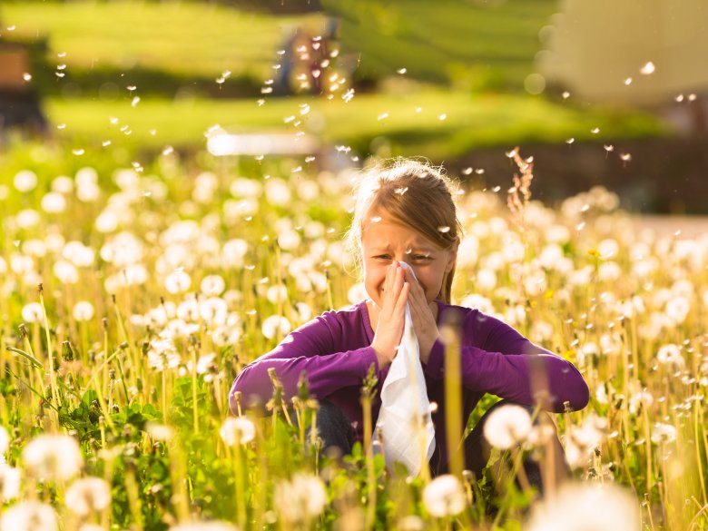 Alergia na pyłki traw