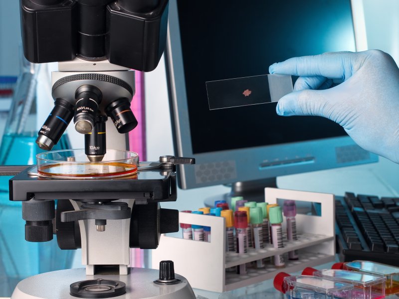 Badania próbek pod mikroskopem
