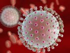 Choroby wirusowe – co powinieneś wiedzieć?
