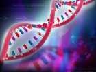 Preparat DNA zastąpi kremy chroniące przed promieniowaniem UV?