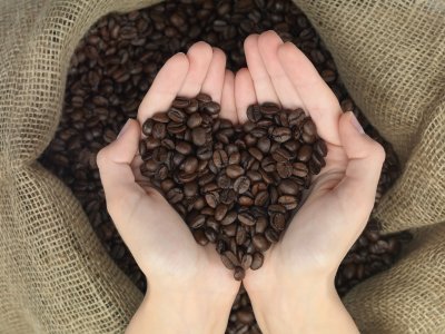 Kofeina i jej wpływ na układ krążenia człowieka