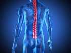 Uszkodzenie rdzenia kręgowego a fizjoterapia