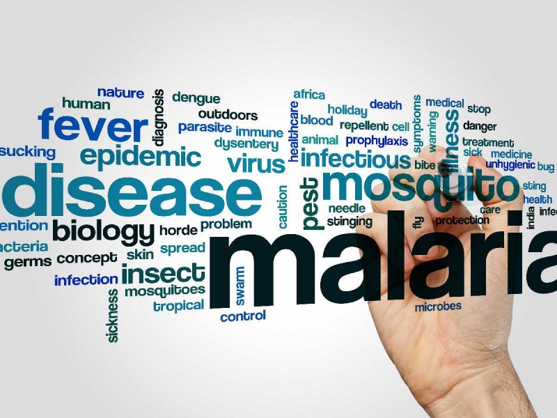 Malaria