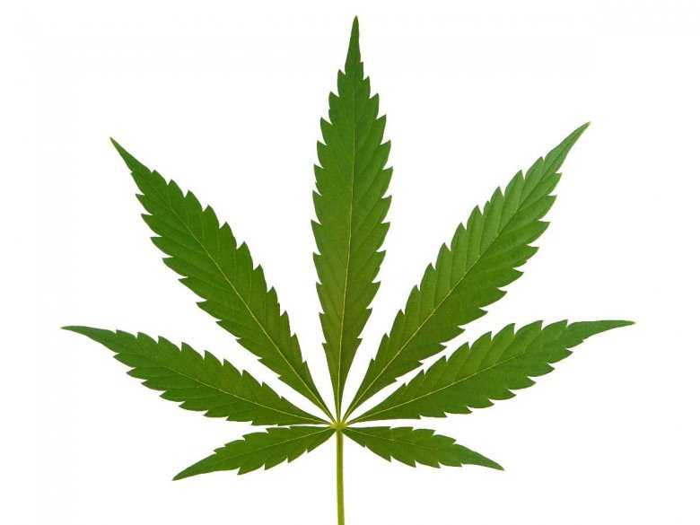 Marihuana