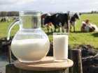 Korelacja pomiędzy wytycznymi diagnozowania alergii na mleko krowie u niemowląt a jej faktycznym rozpoznaniem