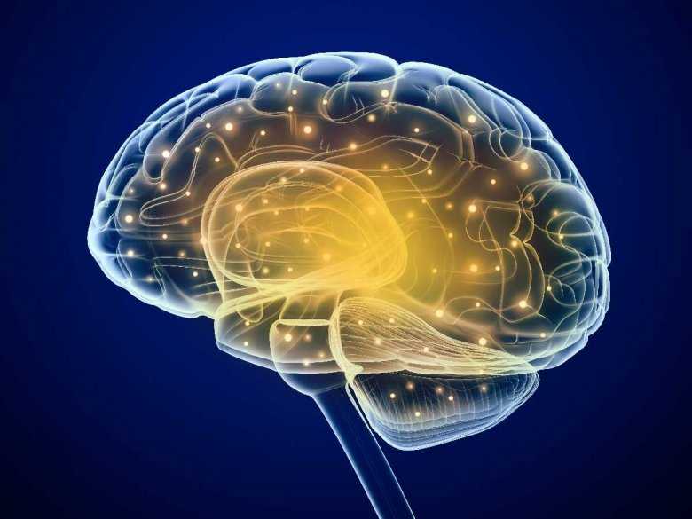 Neurologia, obraz mózgu