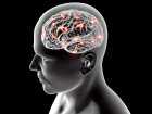 Teoria umysłu u pacjentów ze schizofrenią