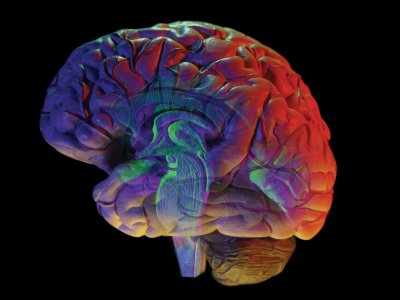 Leczenie ostrej fazy udaru niedokrwiennego mózgu