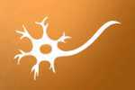 Neurologia 2012