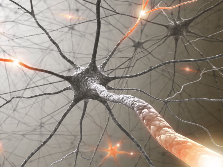 Neuron