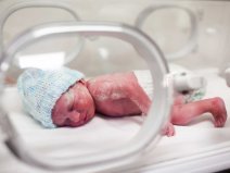 Noworodek w inkubatorze