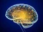 Mikrozaburzenia czynności mózgu jako objaw chorób takich jak schizofrenia i zaburzenia afektywne dwubiegunowe