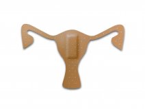 Antykoncepcja u kobiet