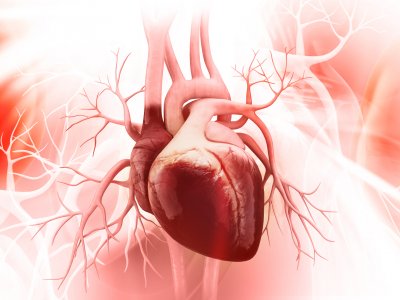 Choroba niedokrwienna serca - przyczyny, objawy, diagnoza, leczenie