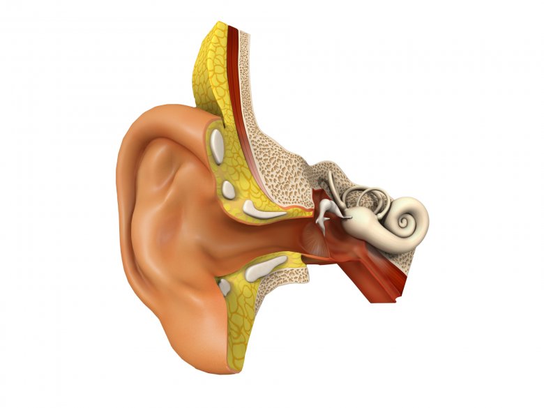 Ucho środkowe