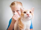 Alergia u dzieci – kiedy diagnozować, kiedy zacząć odczulanie