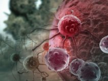 Patogeny atakujące układ immunologiczny u ludzi